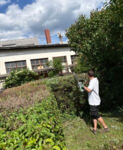 Grünschnitt Gratkorn Bild 2