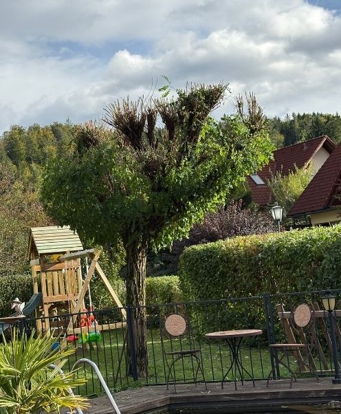 Grünschnitt Gratwein-Strassengel Bild 1