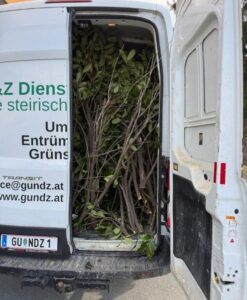 Gartenpflege Graz und Umgebung Bild 1