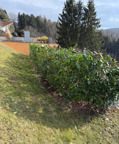 Gartenpflege Graz und Umgebung Titelbild
