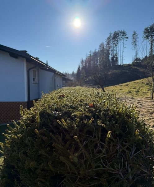 Grünschnitt und Gartenpflege Leibnitz Titelbild