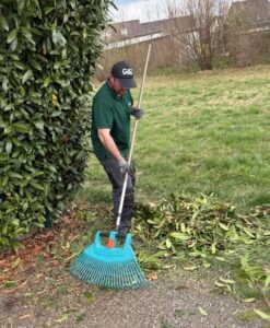 Heckenschnitt Graz Bild 2