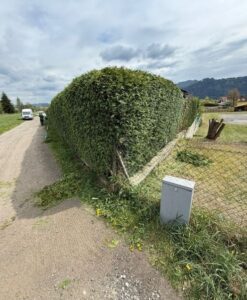 Grünschnitt Leoben Bild 2