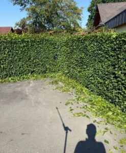 Grünschnitt Gleisdorf Bild 3