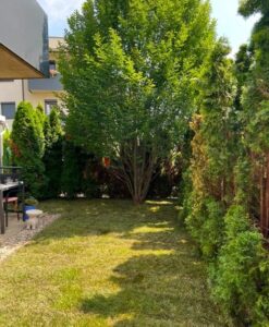 Rollrasen Graz Bild 6