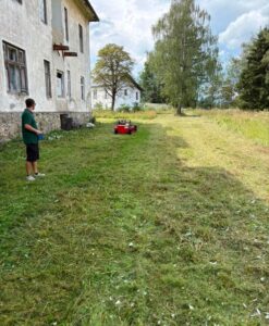 Hochgrasmähen Steiermark Bild 2