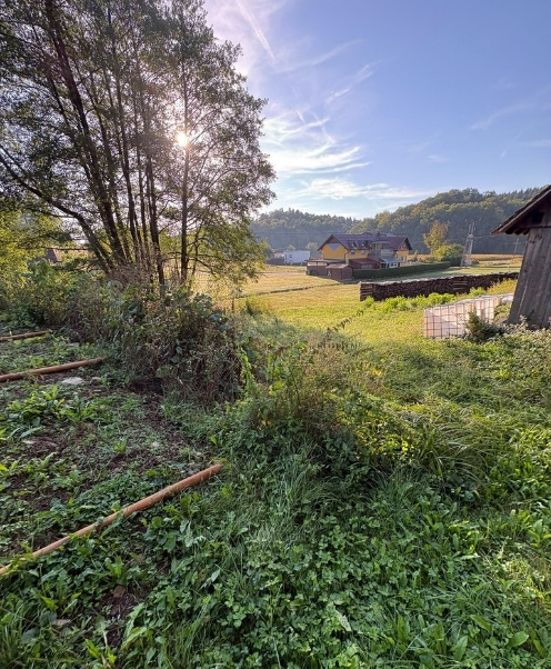 Böschungsmähen Steiermark Titelbild