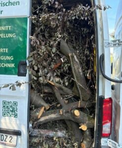 Holz entsorgen Graz & Umgebung Bild 2