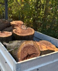 Holz entsorgen Graz & Umgebung Bild 3