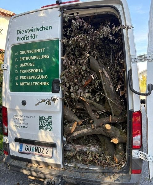 Holz entsorgen Graz & Umgebung Titelbild